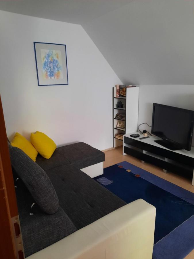 Appartement Sobe Tanja à Podbrdo Extérieur photo